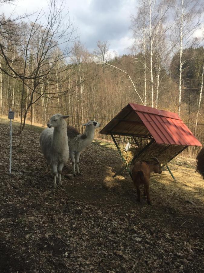 Apartman Hopi Hopi Svoboda nad Úpou المظهر الخارجي الصورة
